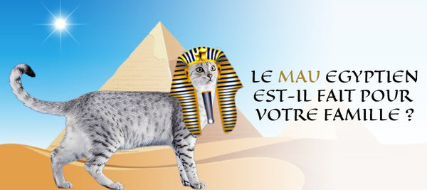 Le Mau Egyptien convient il votre Famille Vraiment chat