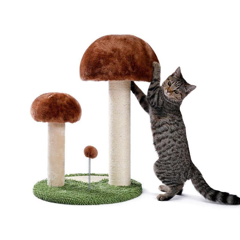 Arbre à Chat Champignon