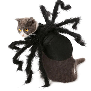 Déguisement pour Chat Halloween - Vraiment-chat