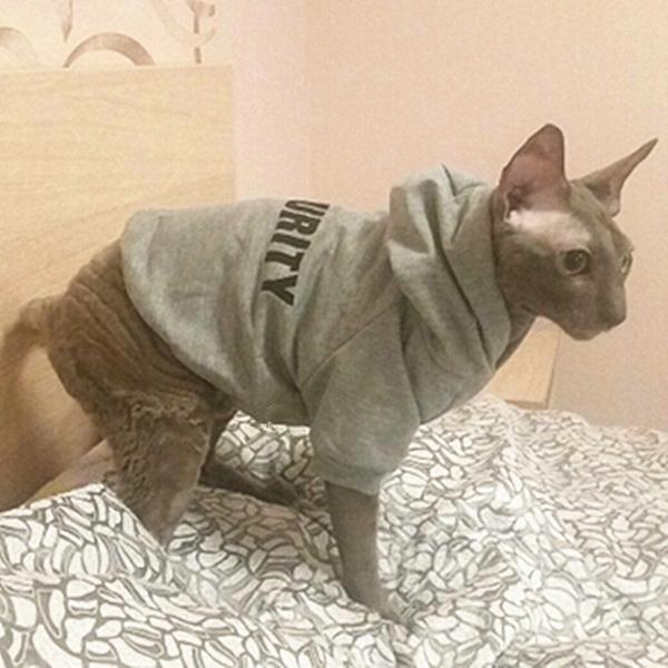 Hoodie Security pour chat - Vraiment-chat