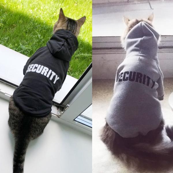 Hoodie Security pour chat - Vraiment-chat