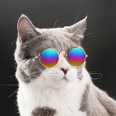 Lunettes de soleil pour chat Vraiment chat