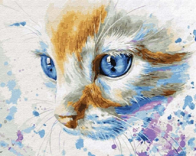 Peinture par Numéro Chat Blanc aux yeux bleus - Vraiment-chat