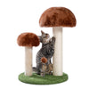 Arbre à Chat Champignon