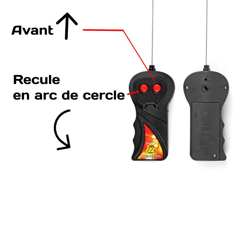 Souris Télécommandée pour Chat