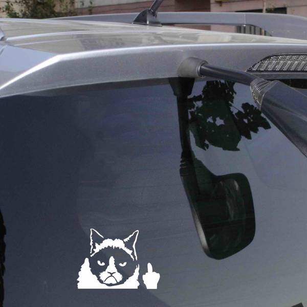 Sticker de Voiture Chat Grognon - Vraiment-chat