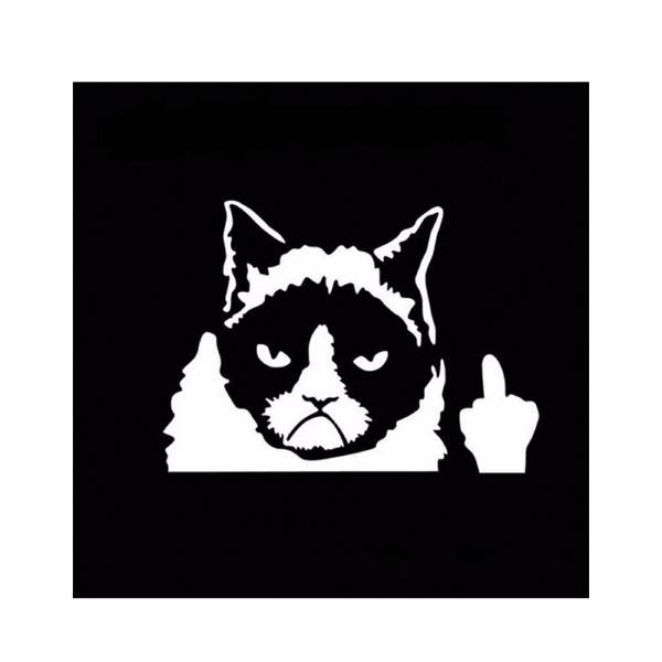 Sticker de Voiture Chat Grognon - Vraiment-chat