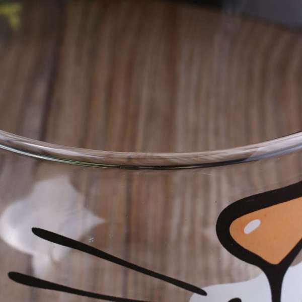 Tasse Transparente à Moustache de Chat - Vraiment-chat